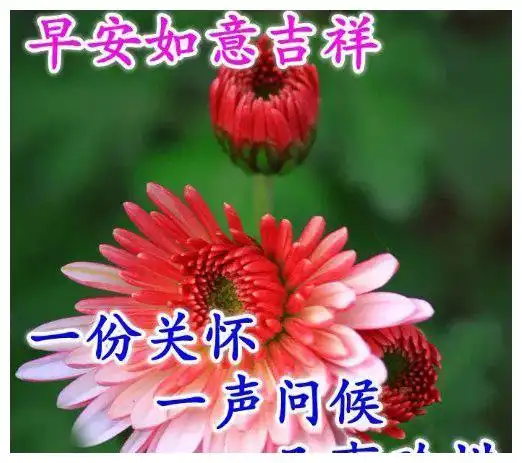 星期一早上问好精选祝福图片,感悟人生的早安句子
