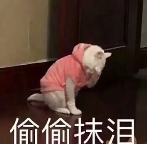 口红
