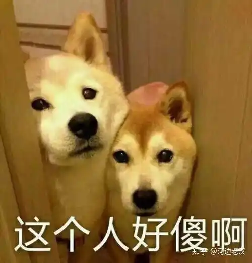 如何评价媒体人柴静
