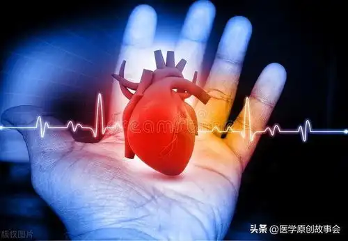 人活多久,看心脏就知道寿命长的人,心脏一般有这5个特征
