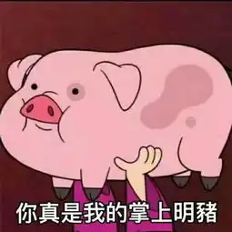 boom猪猪表情包第二弹
