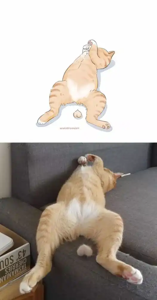画师笔下的网红猫咪,也太可爱了吧
