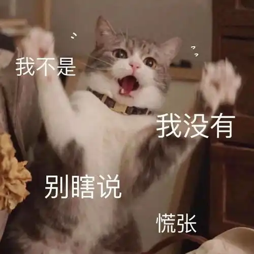 今冬必穿的厚裙子,高级哭了

