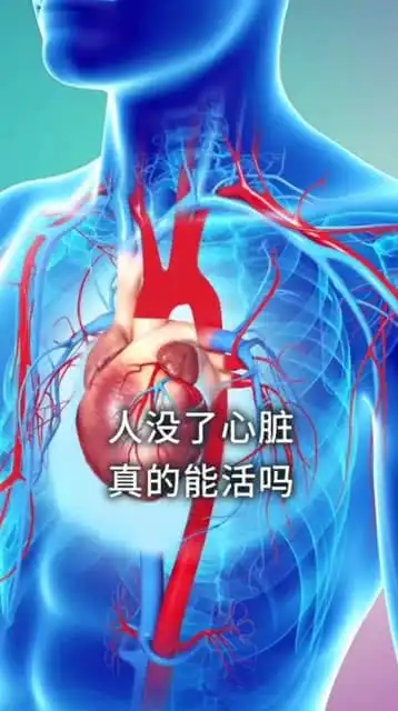 人没有心脏真的能活吗
