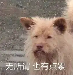 越是到了夏天,越要注意这些头发问题
