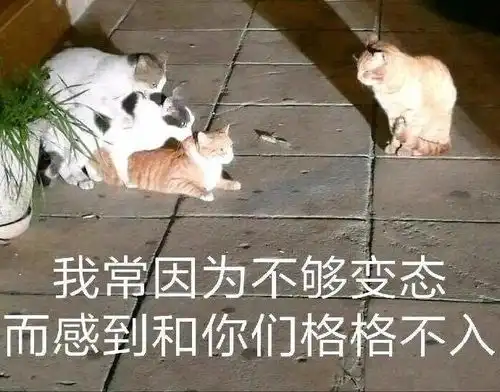 1收藏夹

