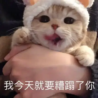 有哪些可爱又沙雕的朋友圈文案
