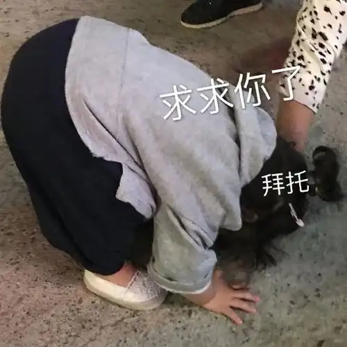 热门表情包图片我错了,我太难了,伤心总是难免

