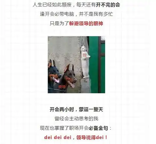 上一个看到这套吐槽工作表情包的人,已经被boss拿去祭天了
