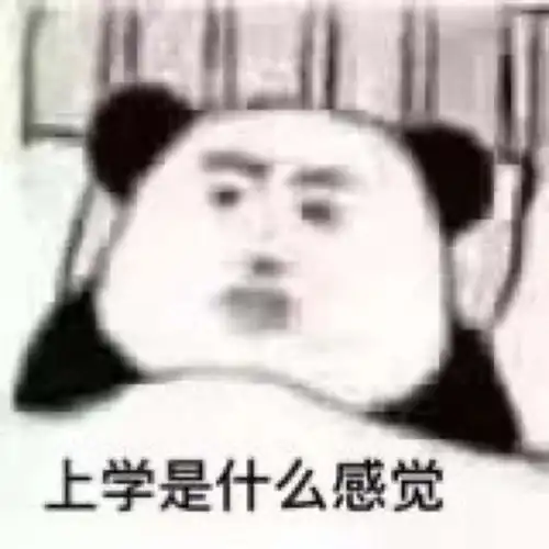请问有没有适合高中qq同学群的群头像推荐下

