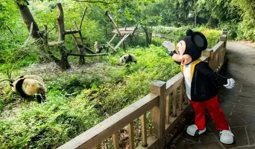 除了漫威和乐园,迪士尼在中国还有网红和表情包焦点分析
