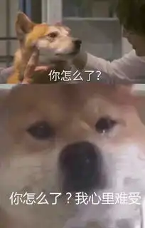 抖音你怎么了我没钱了图片分享
