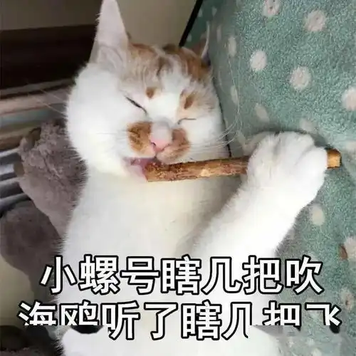 30个可爱调戏表情包今晚要不要和我...造个孩子什么的
