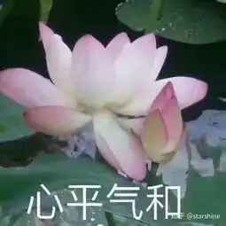 如何评价应用最右
