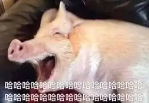 有了风火轮,平衡车扔了吧
