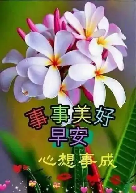 新的一周早上好图片问候语早上好表情包精选

