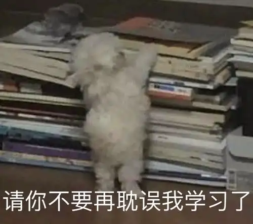 沙雕表情包l我养你啊笨
