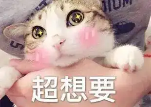 双11凌晨剁手五六万元后遭女友分手小伙走进了大连七院
