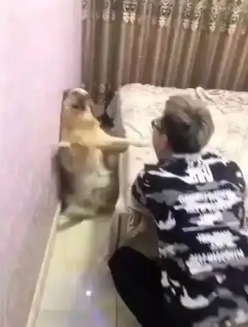 丧心病狂怎么会有这种鬼操作23333

