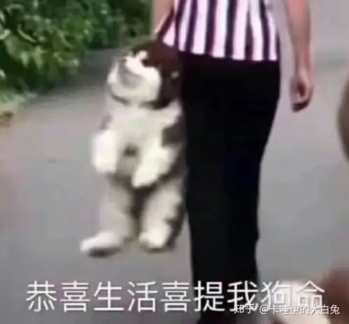 通常北方人多久洗一次澡为什么感觉北方人不喜欢洗澡
