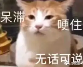 炒币收割韭菜,炒鞋忽悠傻子,这届年轻人不球行....
