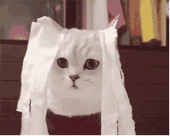 笑一笑,再不锻炼就要跟它一样了