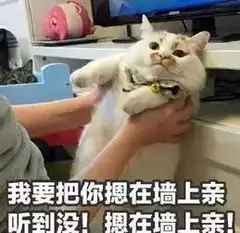 那些很多人推荐但我完全吃不下的小说
