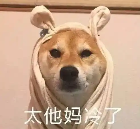 信阳气温暴跌至8c,寒潮再袭深夜有冰雪开车需谨慎
