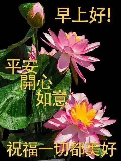 特漂亮的清晨早上好问候图片,新版早上好短信问候祝福语
