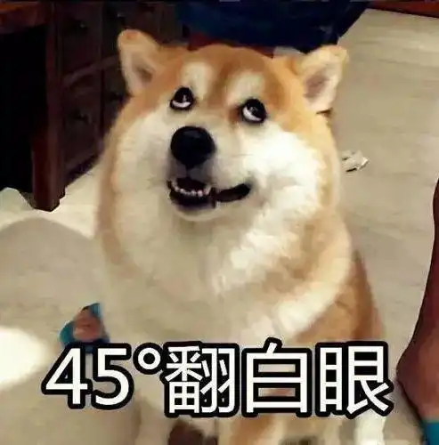 主人犯事被抓,爱犬为报复大闹警局,民警无奈要不进去陪他
