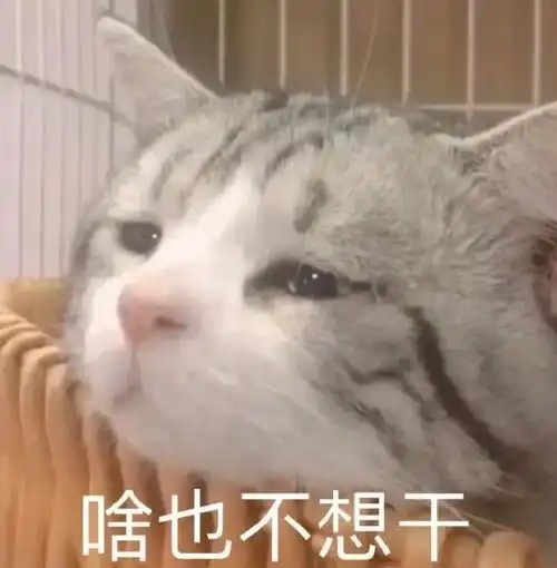 沙雕可爱表情包哟哟哟你能怎么滴
