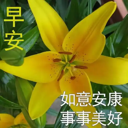 12月9日冬季分享朋友圈早上好祝福动态表情图片清晨早上好暖心祝福句子
