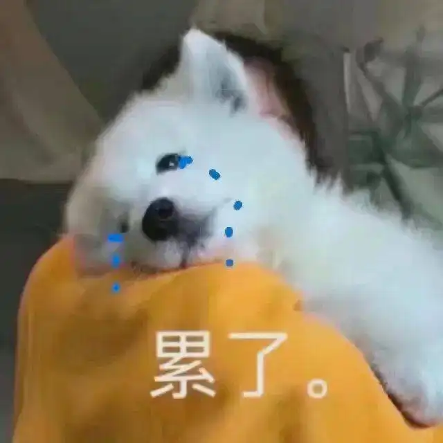 憨憨表情包爷i了
