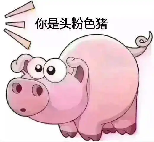 搞笑斗图表情包你是头七彩猪
