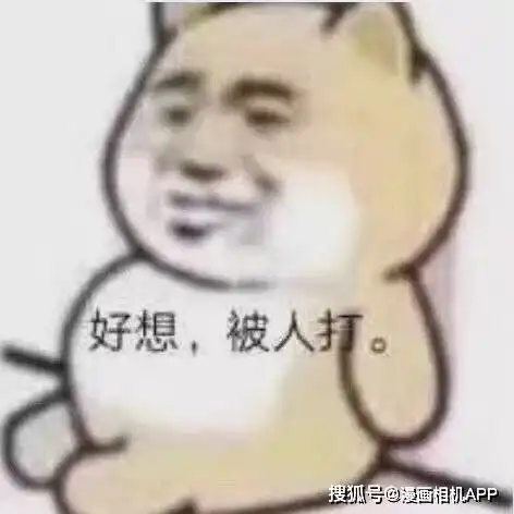 表情包小猪猪男孩闯祸表情包
