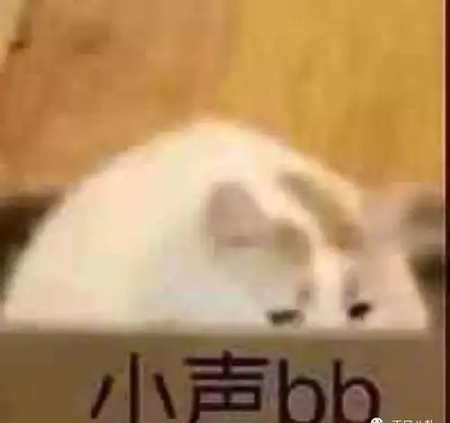被北京台直接从四小花旦里除名欧阳娜娜会凉凉吗

