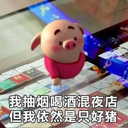 表情包虽然我抽烟喝酒混夜店但我仍然是一只好猪
