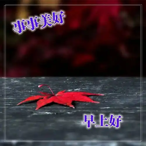 早上好问候语图片,新的一天早上好祝福图片表情带鲜花