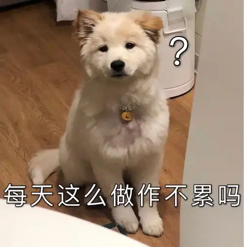 沙雕表情包l我养你啊笨
