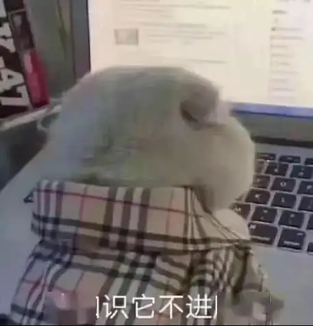 锻炼好时光宅家大作战
