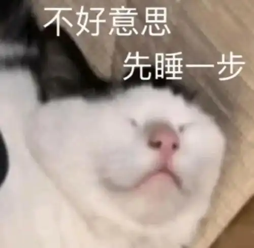 有什么可爱又沙雕的文案吖
