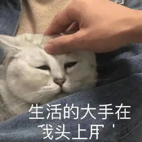 可爱沙雕表情包
