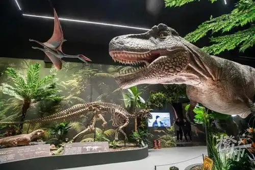 恐龙化石特展登陆杭州展览门票等你来拿
