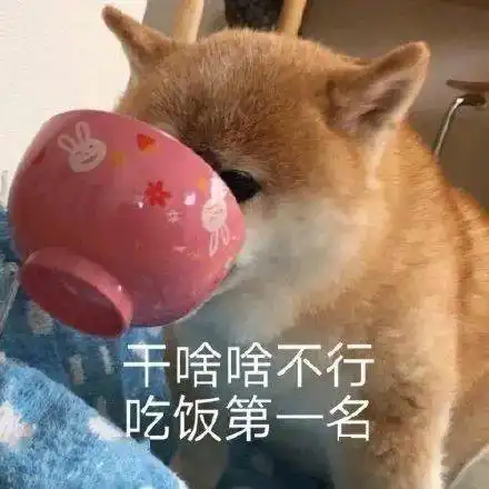 滴滴zufer表情包使用指南待查收
