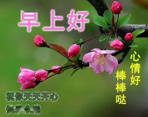 2020漂亮的早上好问候祝福语动态鲜花图片最新早上好幸福祝福语短信精选
