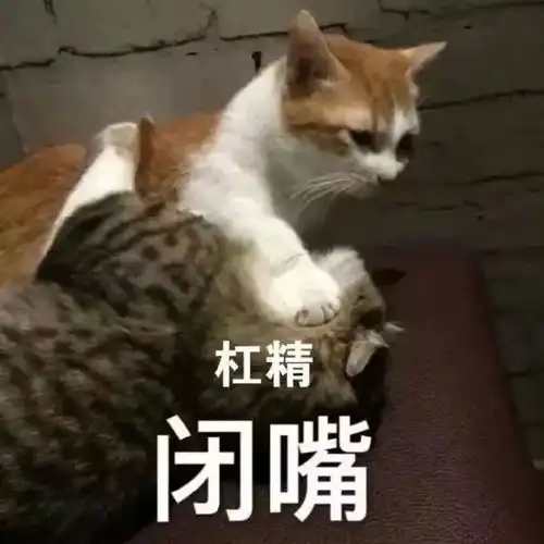 表情包丨别的小朋友都恋爱了,你死哪里去了
