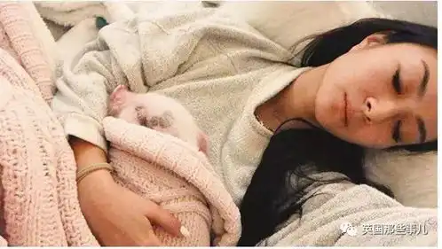 看完这个,再也不敢说自己是精致的猪猪女孩了
