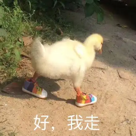 这些又丑又贵的运动鞋,送给我都不要
