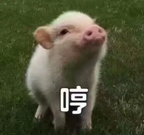 搞笑段子今天带四岁女儿去看童话剧灰姑娘
