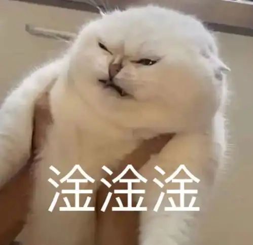 表情包,日常聊天常用
